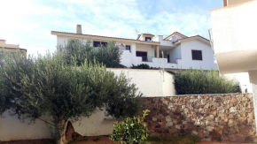 HouseAncora